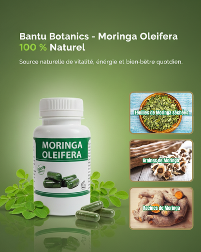 Moringa Oleifera – Énergie & Bien-être Naturel